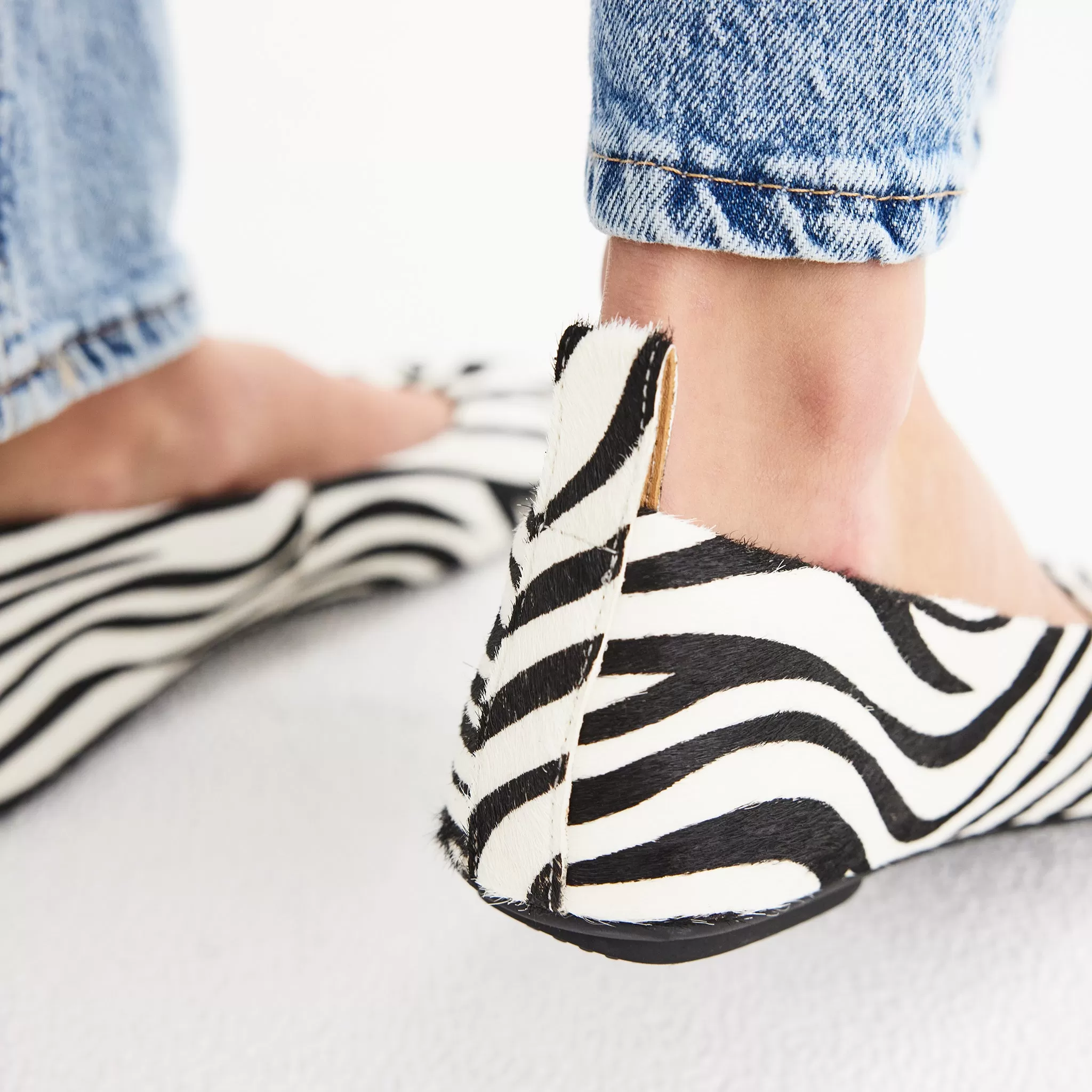 Ballet Zebra