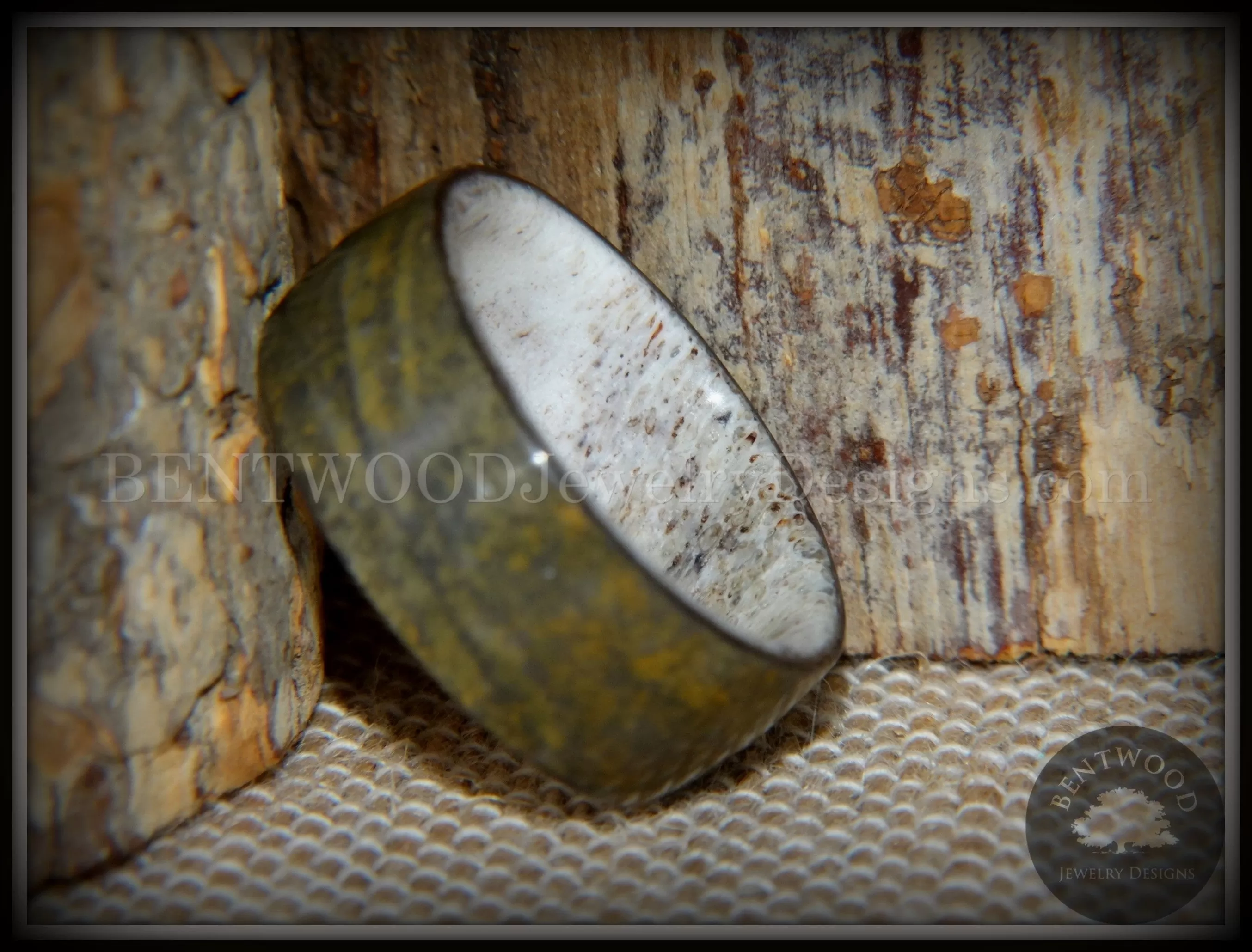 Bentwood Ring - Metamorphic Quartzite Stone Antler Core