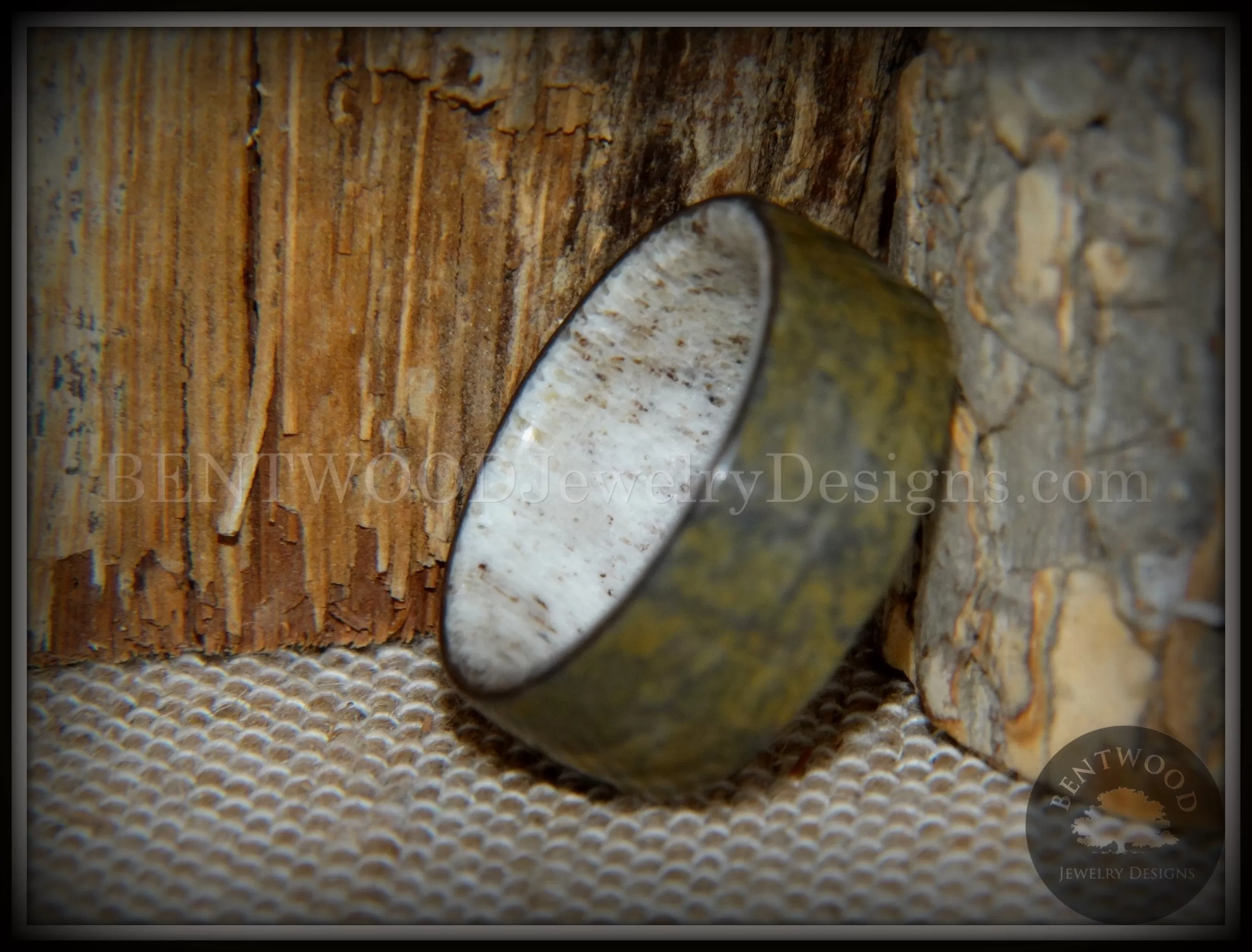 Bentwood Ring - Metamorphic Quartzite Stone Antler Core