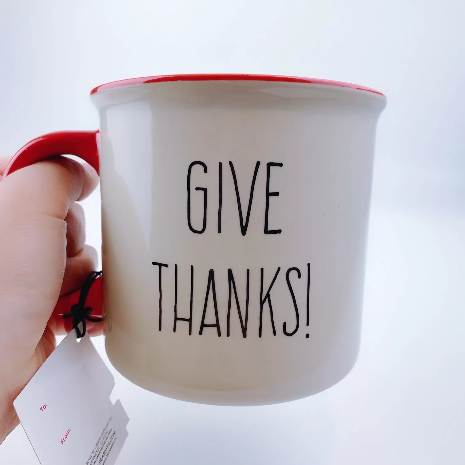 Peanuts Snoopy & Woodstock Thanksgiving 'Give Thanks!'  Large Mug 21 oz Red